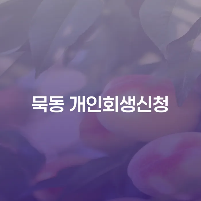 묵동 개인회생신청을 위한 모든 것: 어떻게 시작해야 할까요?