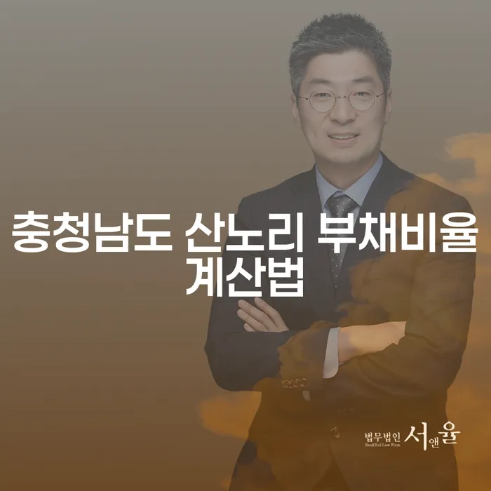 충청남도 산노리에서 부채비율계산법과 개인회생인가결정, 어떻게 접근해야 할까요?