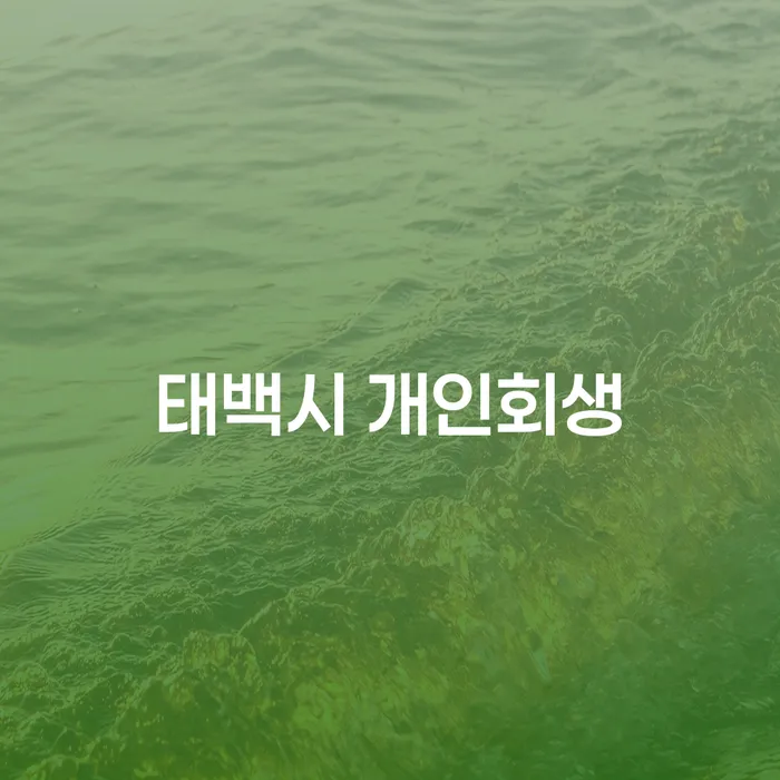 태백시 개인회생: 채무 해결의 실마리를 찾으셨나요?